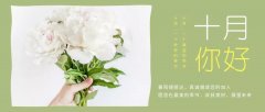 合作經(jīng)營，共負盈虧，原您在最美的季節(jié)，收獲美好，展望未來